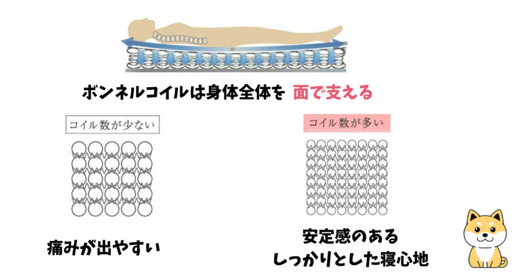 ボンネルコイルは面で支える