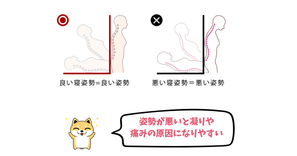 ボンネルコイルの寝姿勢